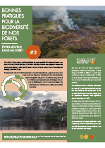 Eviter les feux dans ma forêt Eviter les feux dans ma forêt
